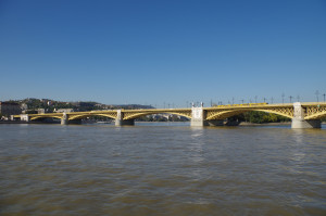 IMGP0694.JPG