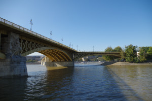 IMGP0698.JPG