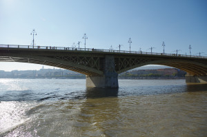 IMGP0699.JPG