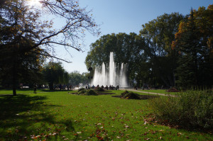 IMGP0701.JPG