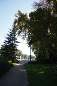 IMGP0702.JPG