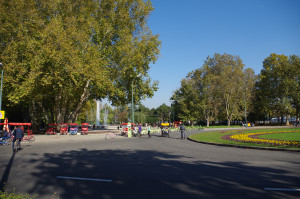 IMGP0703.JPG
