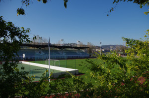 IMGP0704.JPG