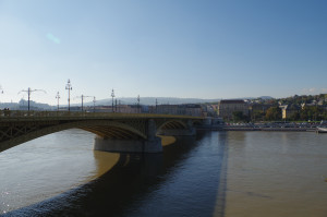 IMGP0705.JPG