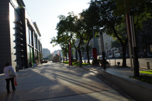 IMGP0708.JPG