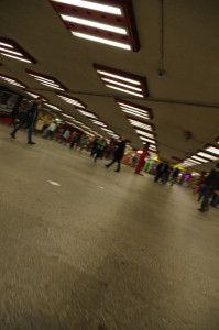 IMGP0710.JPG