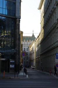 IMGP0713.JPG