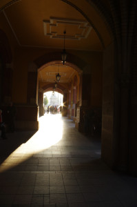 IMGP0731.JPG