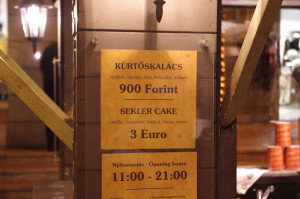 IMGP0764.JPG