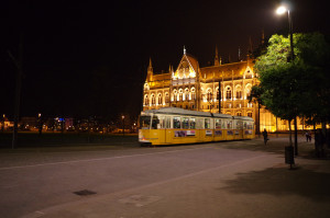 IMGP0785.JPG