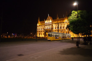 IMGP0786.JPG