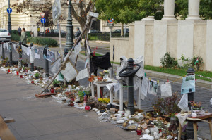 IMGP0787.JPG