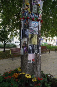 IMGP0790.JPG