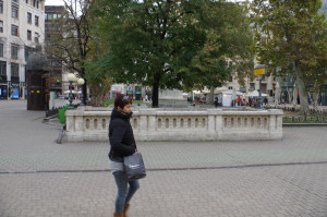 IMGP0795.JPG