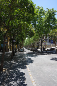 IMGP1156.JPG