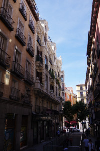 IMGP1195.JPG