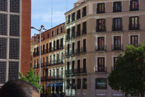 IMGP1236.JPG