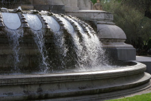 IMGP1246.JPG