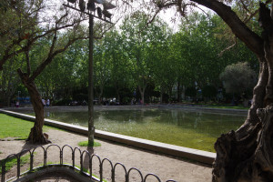 IMGP1253.JPG