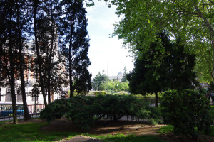 IMGP1255.JPG