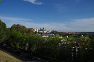 IMGP1306.JPG