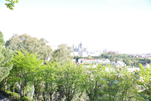 IMGP1311.JPG