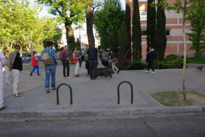 IMGP1314.JPG