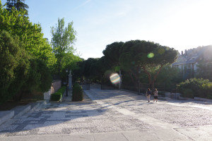 IMGP1317.JPG