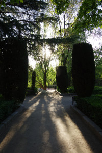 IMGP1320.JPG
