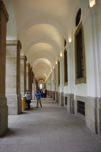 IMGP1353.JPG