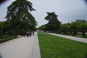IMGP1409.JPG