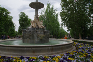 IMGP1433.JPG