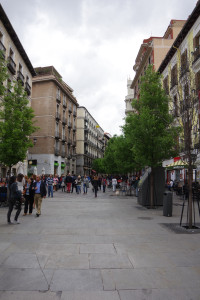 IMGP1473.JPG