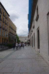 IMGP1526.JPG
