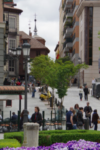IMGP1541.JPG