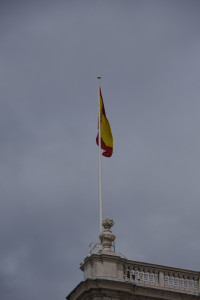IMGP1559.JPG