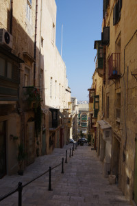 IMGP1905.JPG