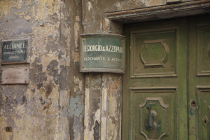 IMGP1924.JPG