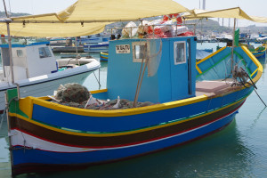 IMGP1939.JPG