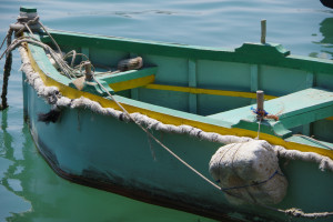 IMGP1942.JPG