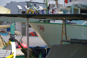 IMGP1945.JPG