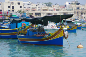 IMGP1947.JPG