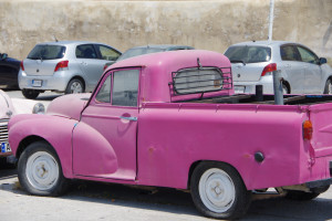 IMGP1951.JPG