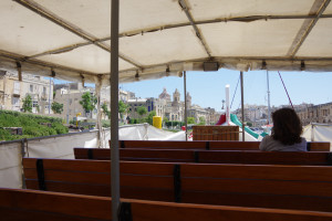 IMGP2009.JPG