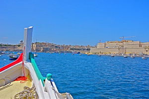 IMGP2013.JPG