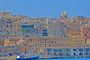 IMGP2015.JPG