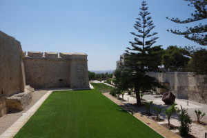 IMGP2093.JPG