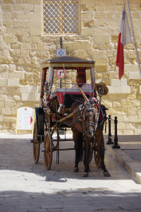 IMGP2094.JPG