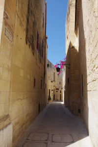 IMGP2106.JPG