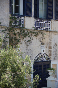 IMGP2114.JPG